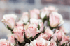 Kocoon Spa Package | Princess Lokum